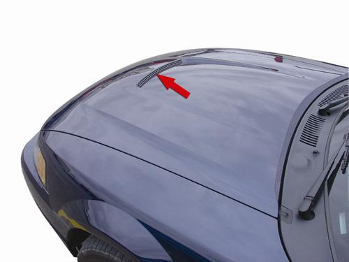 2001 Cobra Hood Vent Grill Where To Svtperformance Img
